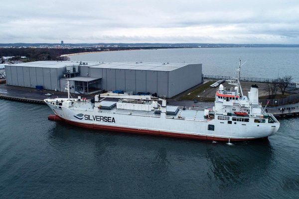 Pierwsza po Brexicie dostawa ryb do portu w Gdańsku