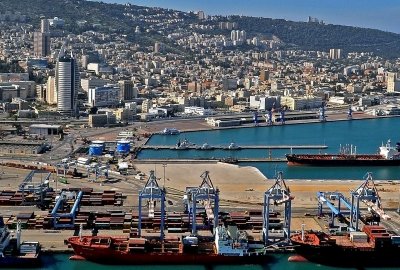 Kot 19 dni podróżował w kontenerze z cukierkami