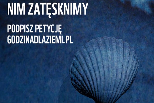 WWF: Ocalmy Bałtyk, nim zatęsknimy