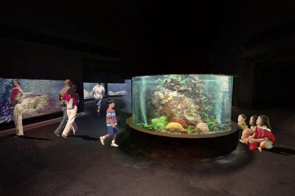 Dodatkowe 2,2 mln zł z budżetu UE na rozbudowę Akwarium w Gdyni