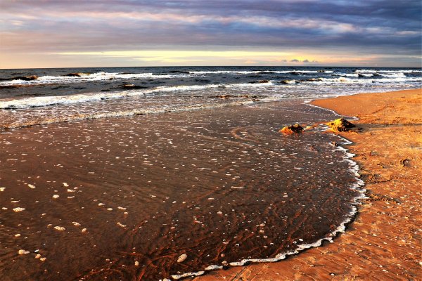 Europosłowie do KE: podejmijcie działania ws. niewybuchów na dnie Bałtyku