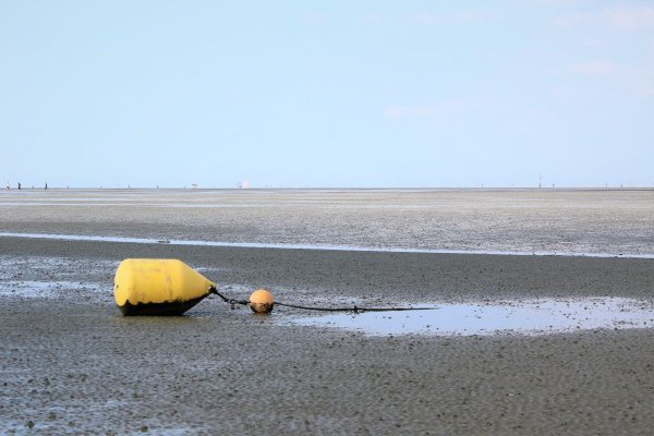 Apel do władz Holandii ws. wydobycia gazu na Morzu Wattowym
