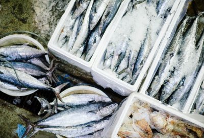 Ekolodzy: światowe spożycie ryb wzrosło w ciągu ostatnich 30 lat o ponad 120 proc.