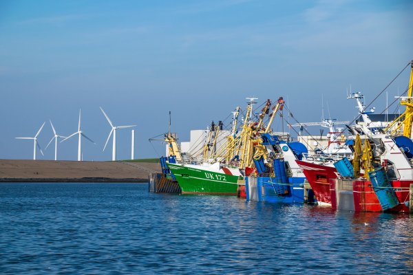 List europejskich rybaków do komisarza ds. środowiska, oceanów i rybołówstwa