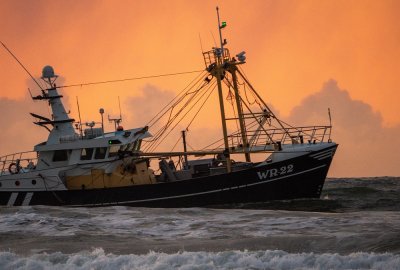 Fot.: Wim van 't Einde / Unsplash