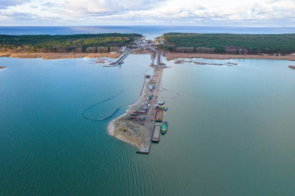 W pobliżu przekopu Mierzei budki dla ptaków i nietoperzy