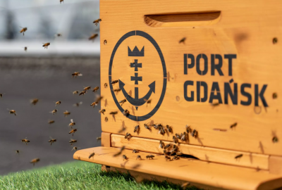 Pszczoły miodne zamieszkały w Porcie Gdańsk