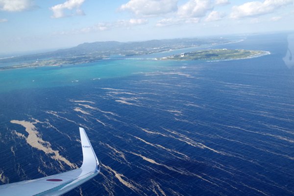 Dryfujący wulkaniczny pumeks zbliża się do Tokio, zagraża ekosystemowi i rybołówstwu...