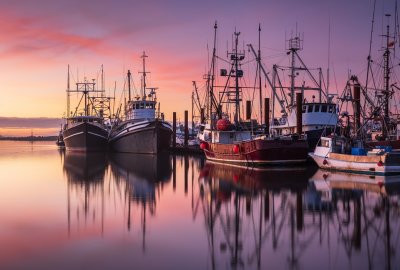 Fot.: Shutterstock kutry rybackie