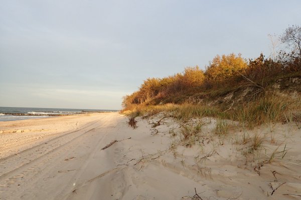 Opaski brzegowe w Pleśnej i Kołobrzegu zbuduje Hydrobud