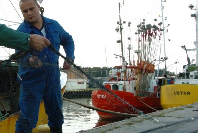 Komisja Europejska chce wprowadzić ograniczenia połowowe w ramach ochrony morświna bałt...