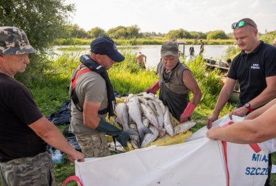 Ziobro: do śledztwa dotyczącego zanieczyszczenia na Odrze prokuratorzy powołali licznyc...