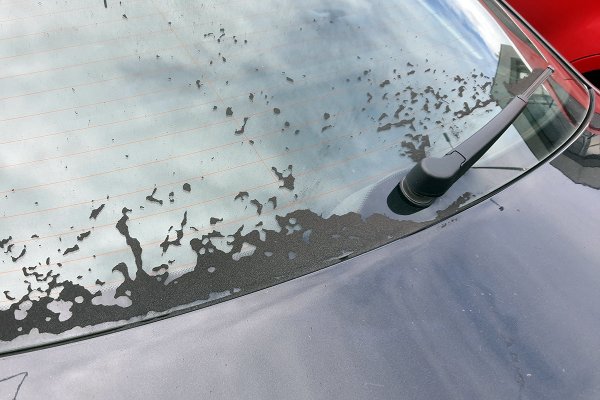 List prezydent Gdańska do Prezesa Rady Ministrów i Prezesa Portu Gdańsk w sprawie stanu...