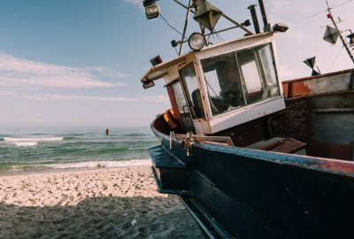 Komisja proponuje uprawnienia do połowów w Morzu Bałtyckim na rok 2023 w celu odbudowy ...