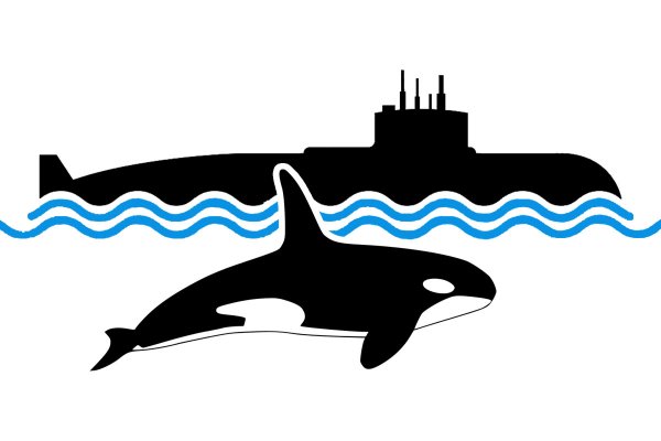 Rzecznik AU: okręty podwodne to m.in. odstraszanie przez zdolność do kontrataku