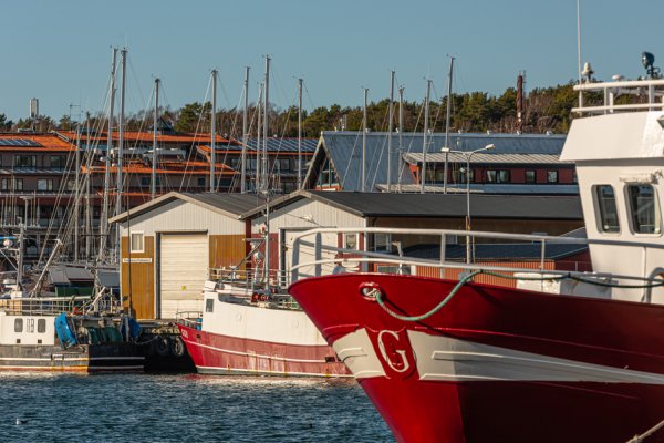 Szwedzkie organizacje ekologiczne proponują naprawę stanu Bałtyku