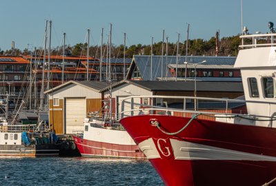 Szwedzkie organizacje ekologiczne proponują naprawę stanu Bałtyku