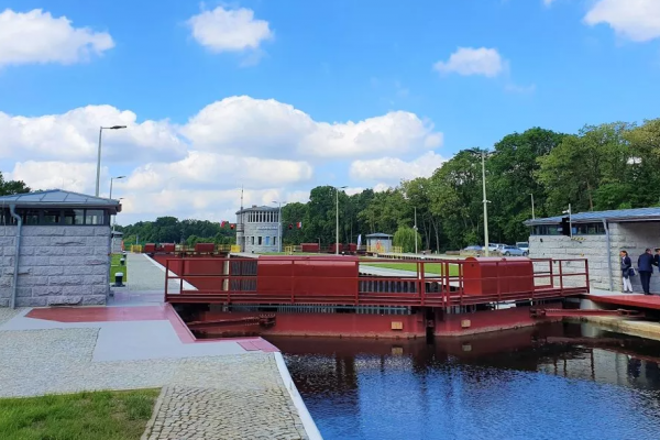 Już ponad tonę śniętych ryb odłowiono w Kanale Gliwickim