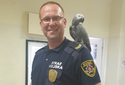 Papuga uciekła z domu. Znalazła się na statku zacumowanym w Gdyni