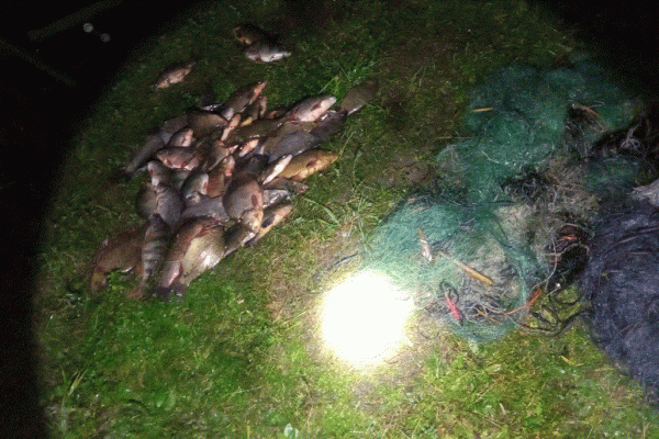 Nad Jeziorem Kielarskim zatrzymano kłusowników ryb