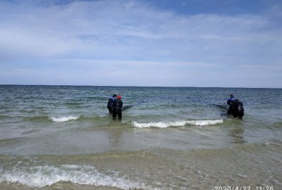 PGE Baltica angażuje polskie podmioty w badania ichtiofauny dla projektu Baltica 1