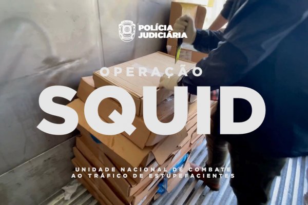 Portugalska policja przejęła 1,3 tony kokainy ukrytej w mrożonych rybach