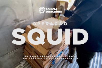 Portugalska policja przejęła 1,3 tony kokainy ukrytej w mrożonych rybach...
