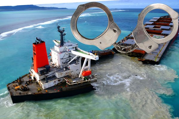 Dalsza kryminalizacja wykroczeń przeciwko środowisku, w tym zanieczyszczeń generowanych...