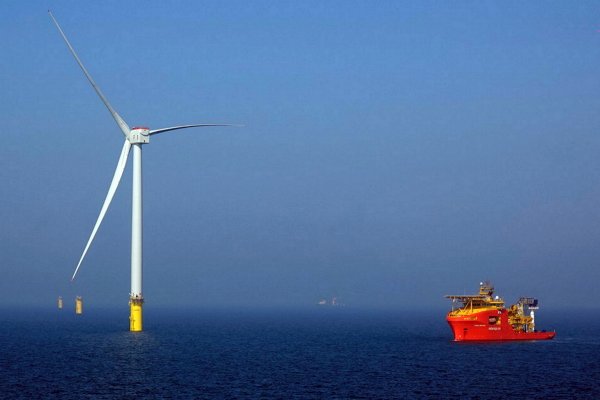 Największa farma wiatrowa na Bałtyku szykuje się do aukcji