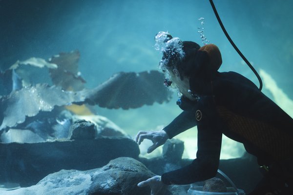 Nowa ekspozycja Akwarium Gdyńskiego