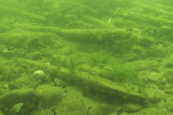 Doktorant z Politechniki Wrocławskiej szuka sposobu na oczyszczenie Bałtyku z broni che...