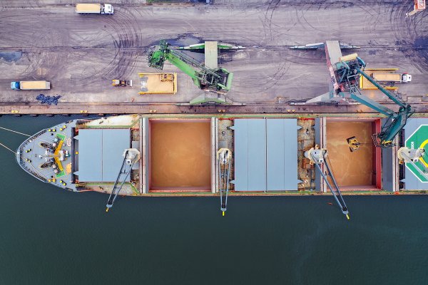 W I pół. 2024 r. przez polskie porty wyeksportowano 3,9 mln ton ziarna, w tym 1,5 mln p...