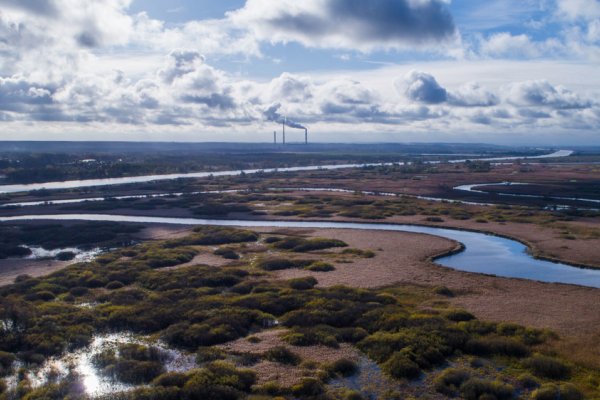 Wiceminister klimatu: Utworzenie parku narodowego w Dolinie Dolnej Odry nie wpłynie na ...
