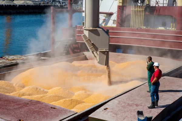 MRiRW: Szacowane tegoroczne zbiory zbóż będą niższe niż w ubiegłym roku