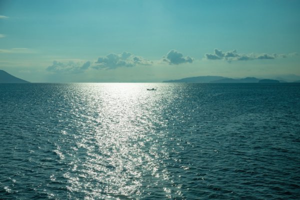 Japonia: W tym roku odnotowano rekordową średnią temperaturę wód otaczających archipela...