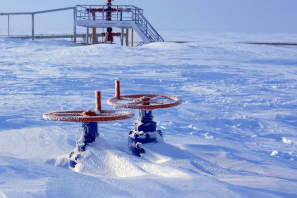 Grenlandia proponuje USA współpracę przy wydobyciu surowców krytycznych