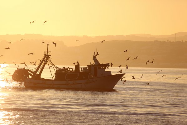 Komisja Europejska o połowach w Atlantyku, cieśninach Kattegat i Skagerrak