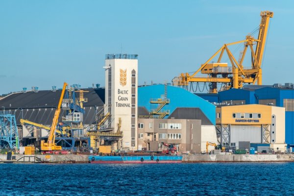 Port Gdynia: Procedura na wyłonienie wykonawcy terminala zbożowego w toku