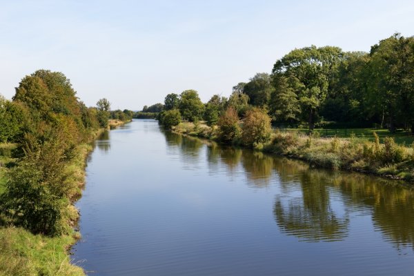 MKiŚ: Wzrasta liczebność „złotej algi” w Kanale Gliwickim