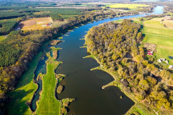 Ogłoszono pierwszy stopień zagrożenia złotą algą w Odrze