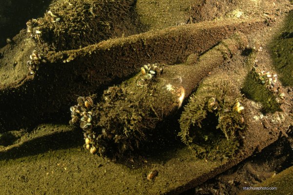 Szwecja: Wszczęto procedurę ochrony wraku odkrytego przez Polaków