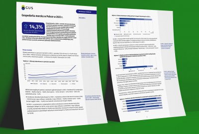 GUS: wyniki sektora morskiego w Polsce w 2023 r., przeładunki w portach ...