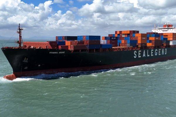 Pierwszy chiński arktyczny kontenerowiec zawinął do Gdańska