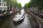 W Amsterdamie „kocie schodki” mają zapobiegać utonięciom zwierząt w kana...