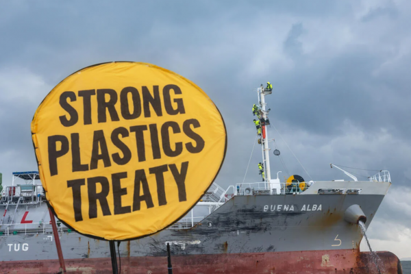 Aktywiści Greenpeace przed sądem