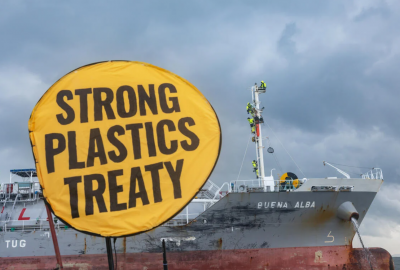 Aktywiści Greenpeace przed sądem