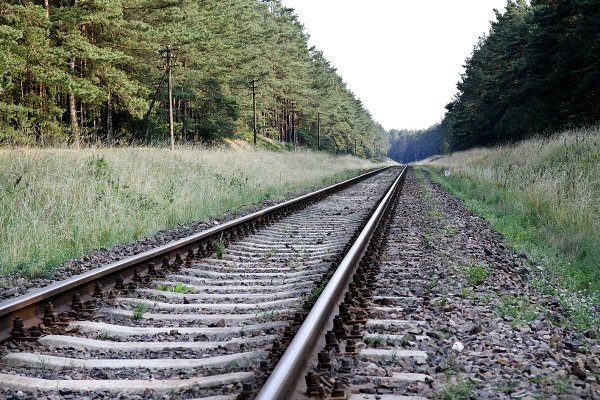 Kolej dotrze do przyszłej elektrowni jądrowej w 2029 roku 