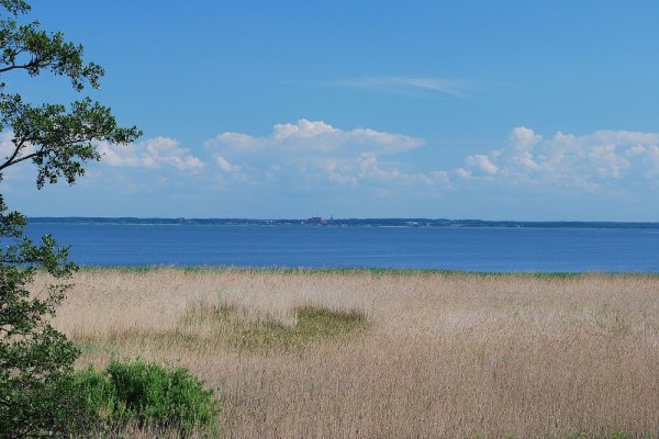 Stwierdzono 5 przypadków podejrzenia choroby Zalewu Wiślanego