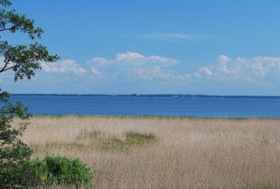 Stwierdzono 5 przypadków podejrzenia choroby Zalewu Wiślanego