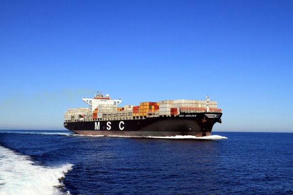 Flota MSC liczy 461 statków nabytych na rynku wtórnym